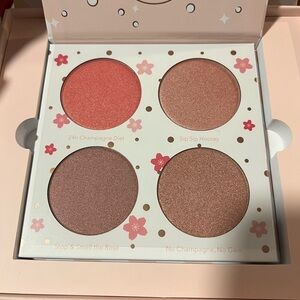 Blushlighter palette
